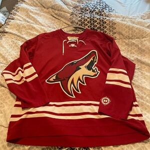 Arizona Coyotes NHL Jersey